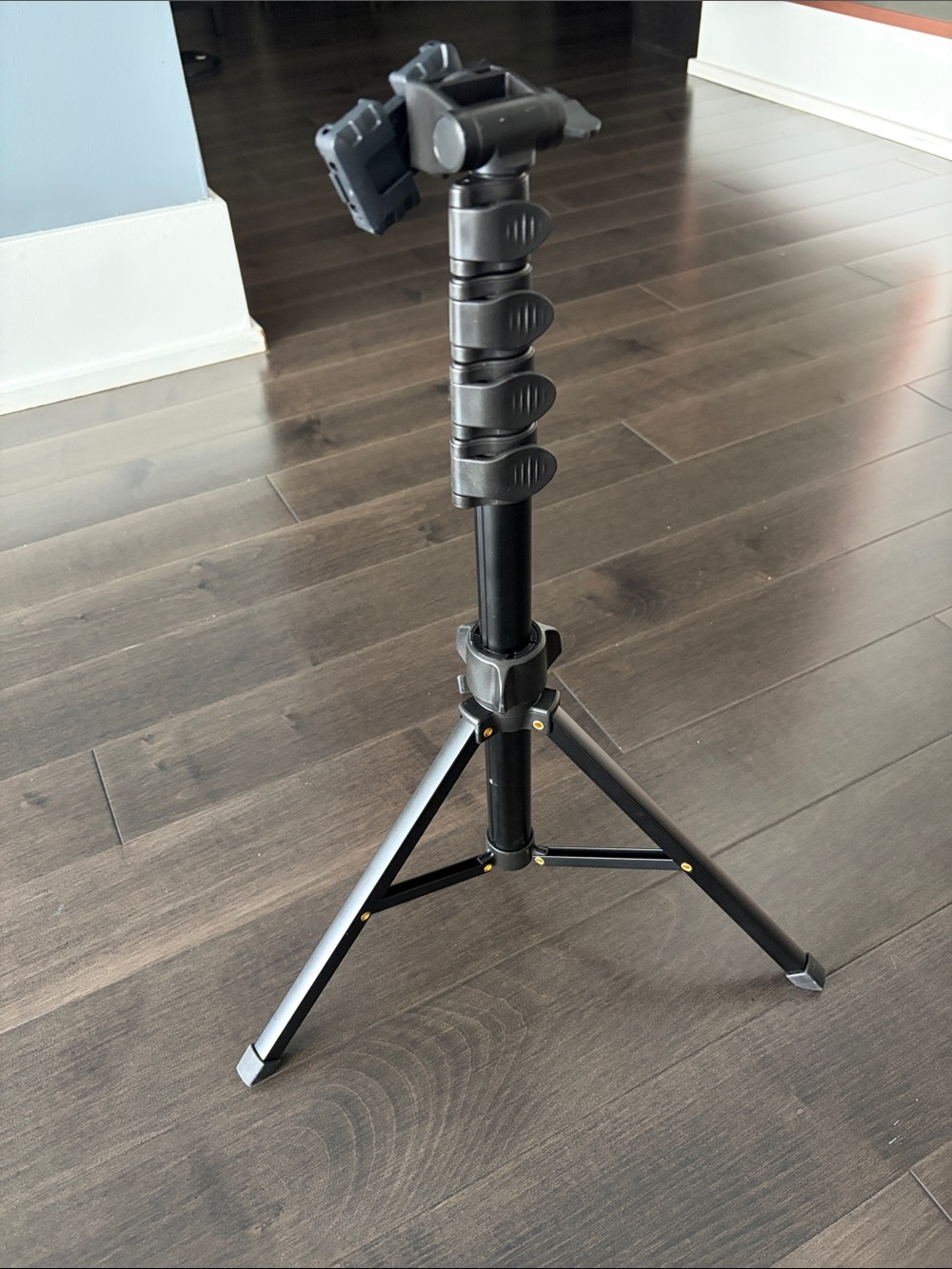 Black Telescoping Tripod/Light Stand